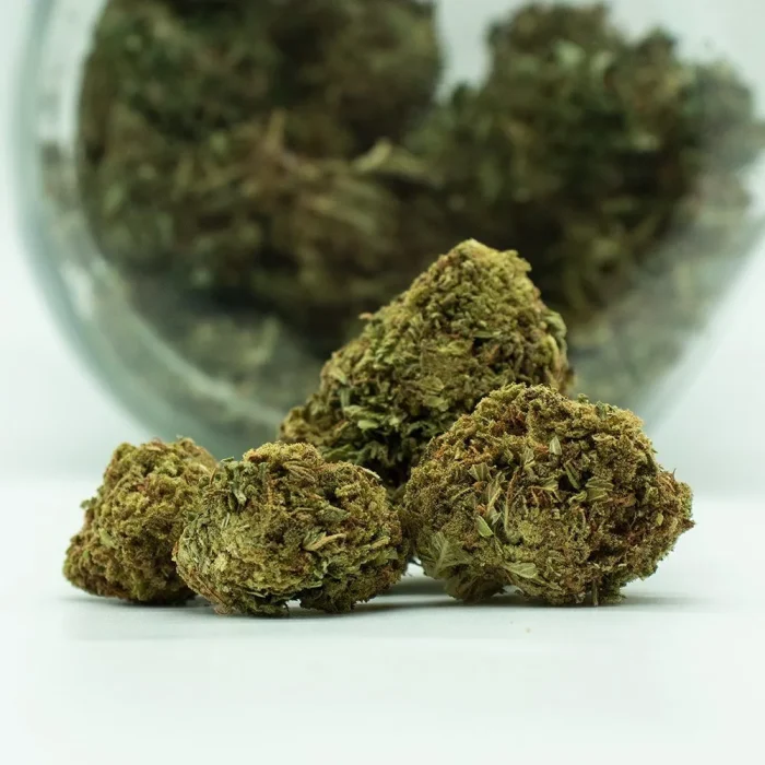 fleurs-de-cbd-frozendry-3 Fleur de CBD frozendry